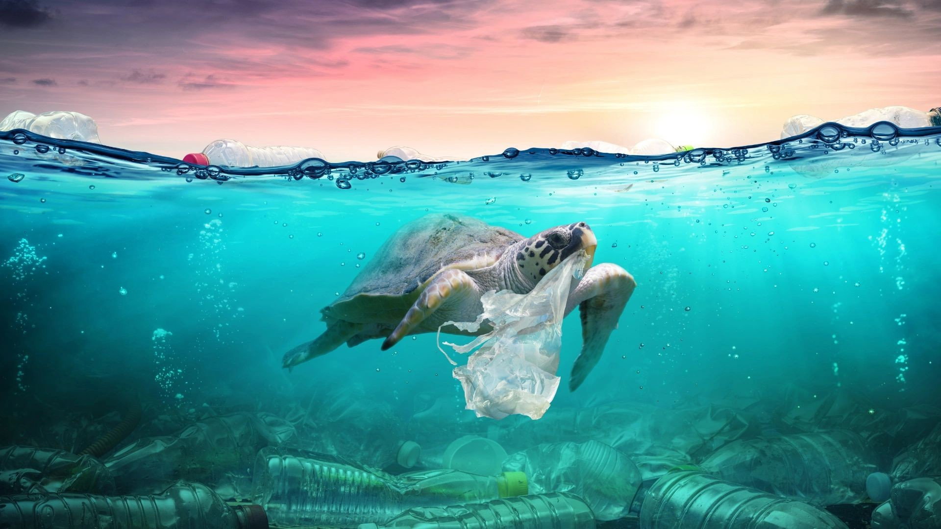 Plastic Earth's poster