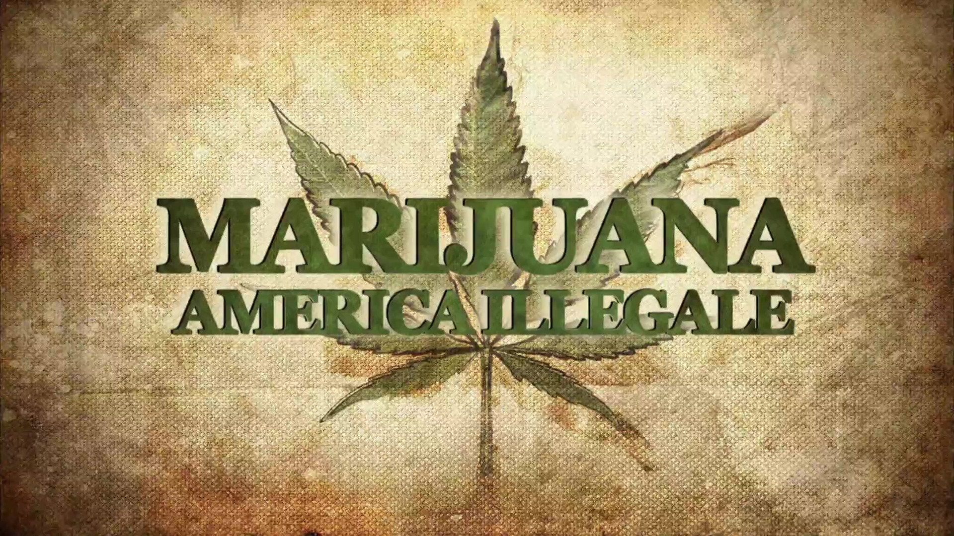 Weed Country's poster