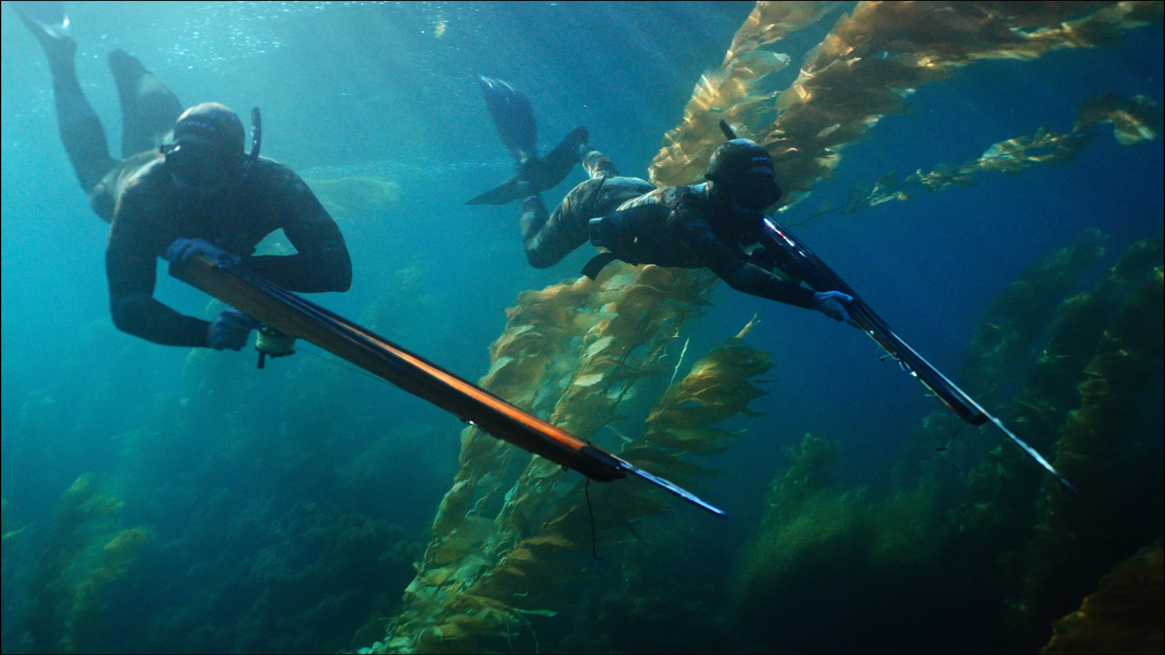 Whisper Breach's poster