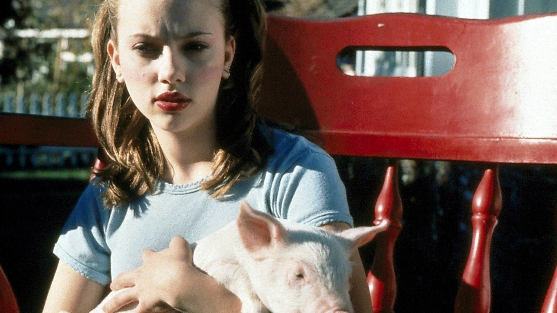 My Brother the Pig's poster