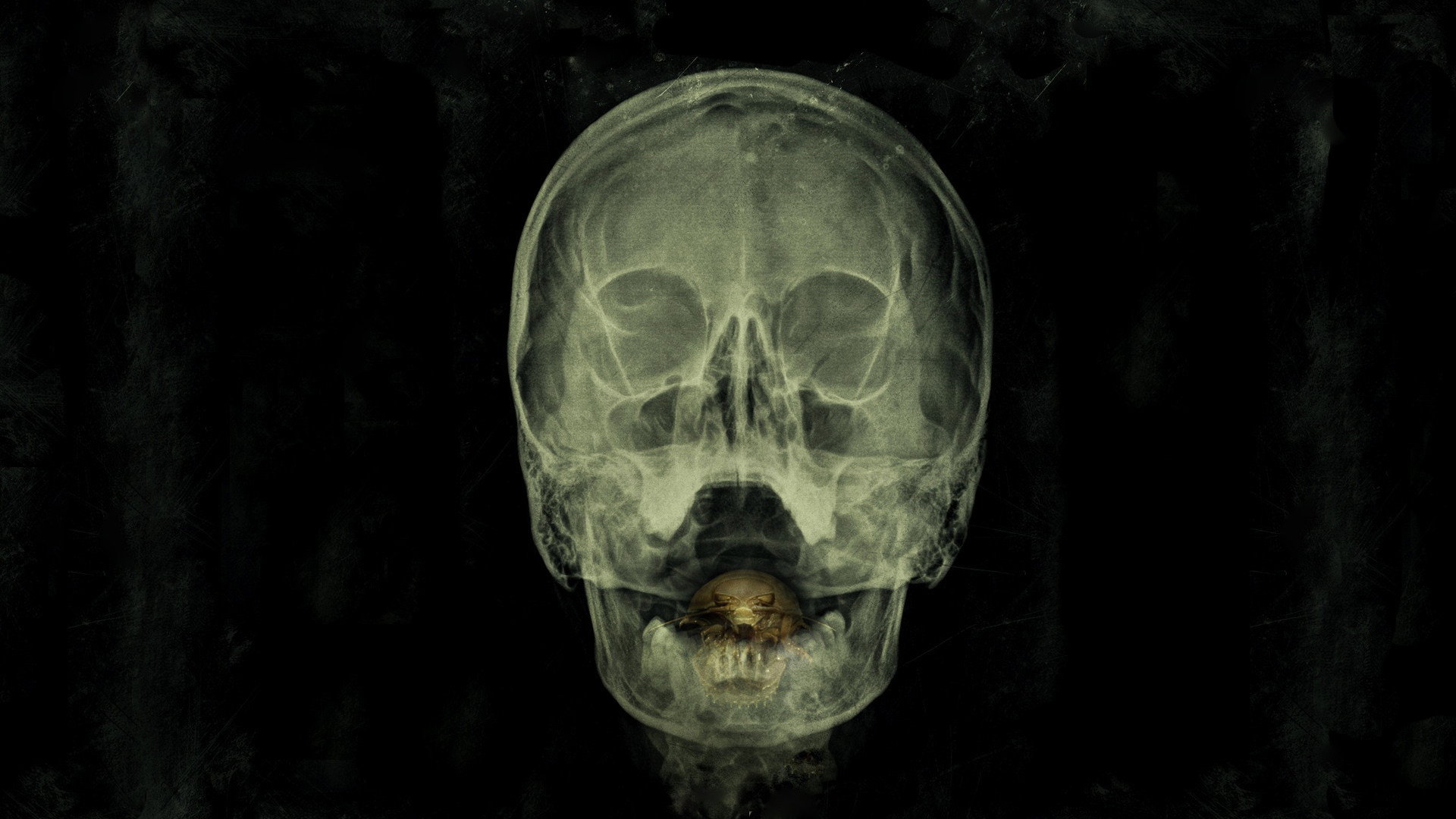The Bay's poster