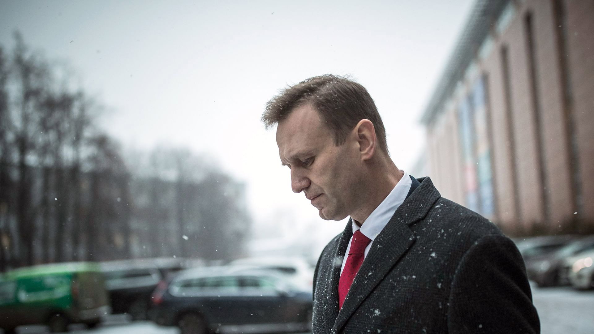 Becoming Navalny's poster