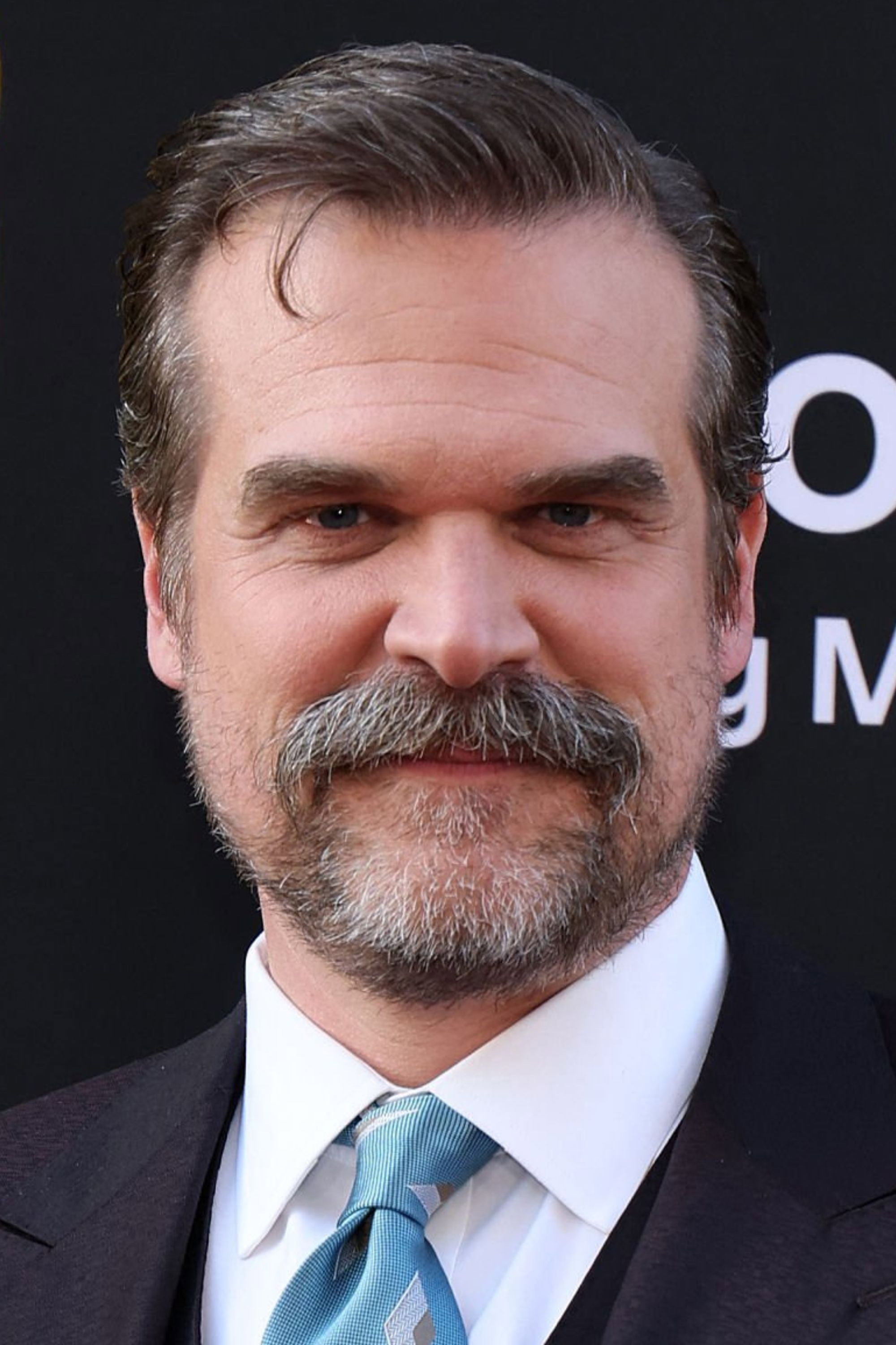 David Harbour's poster