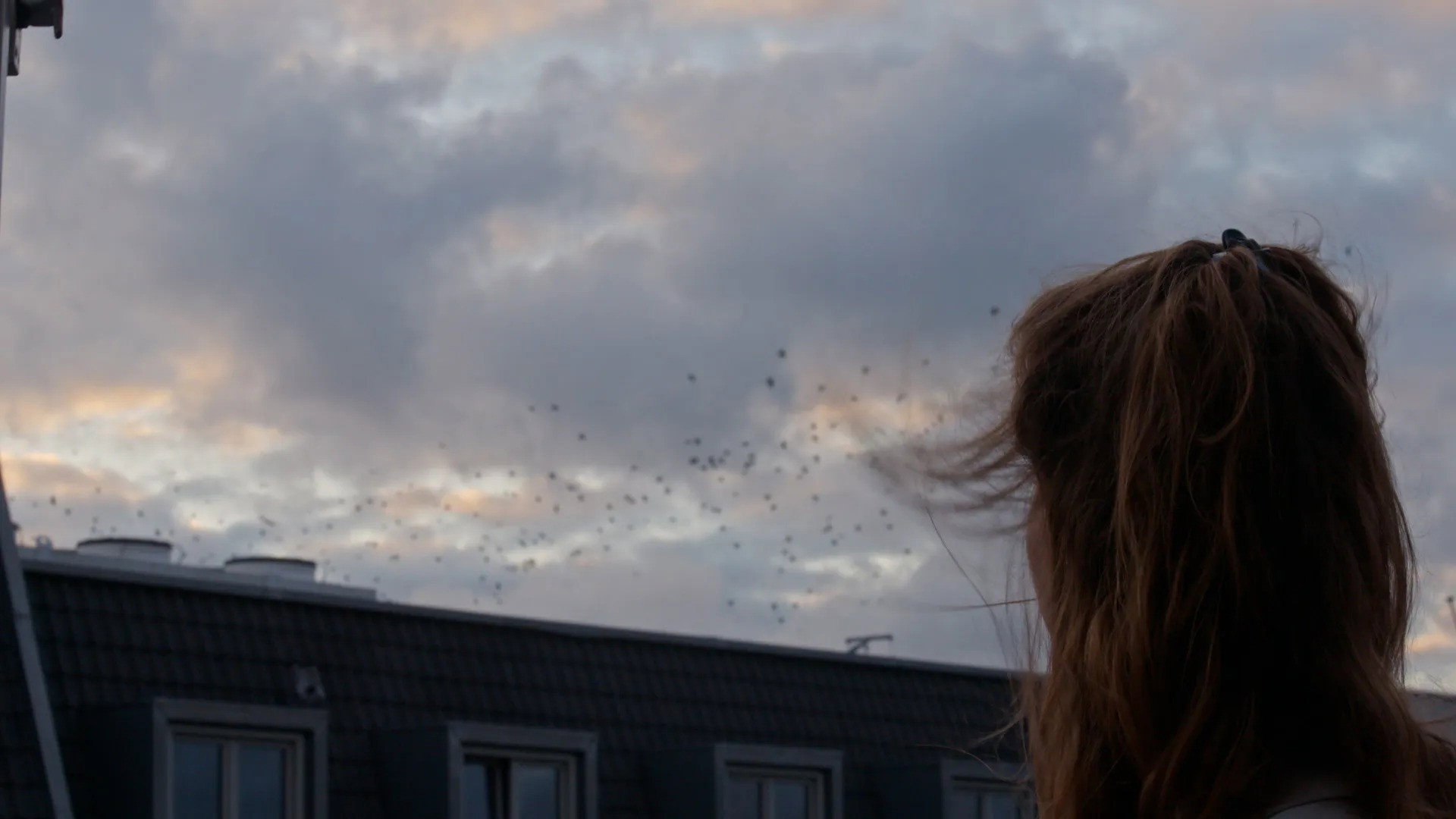Schijnstudent's poster