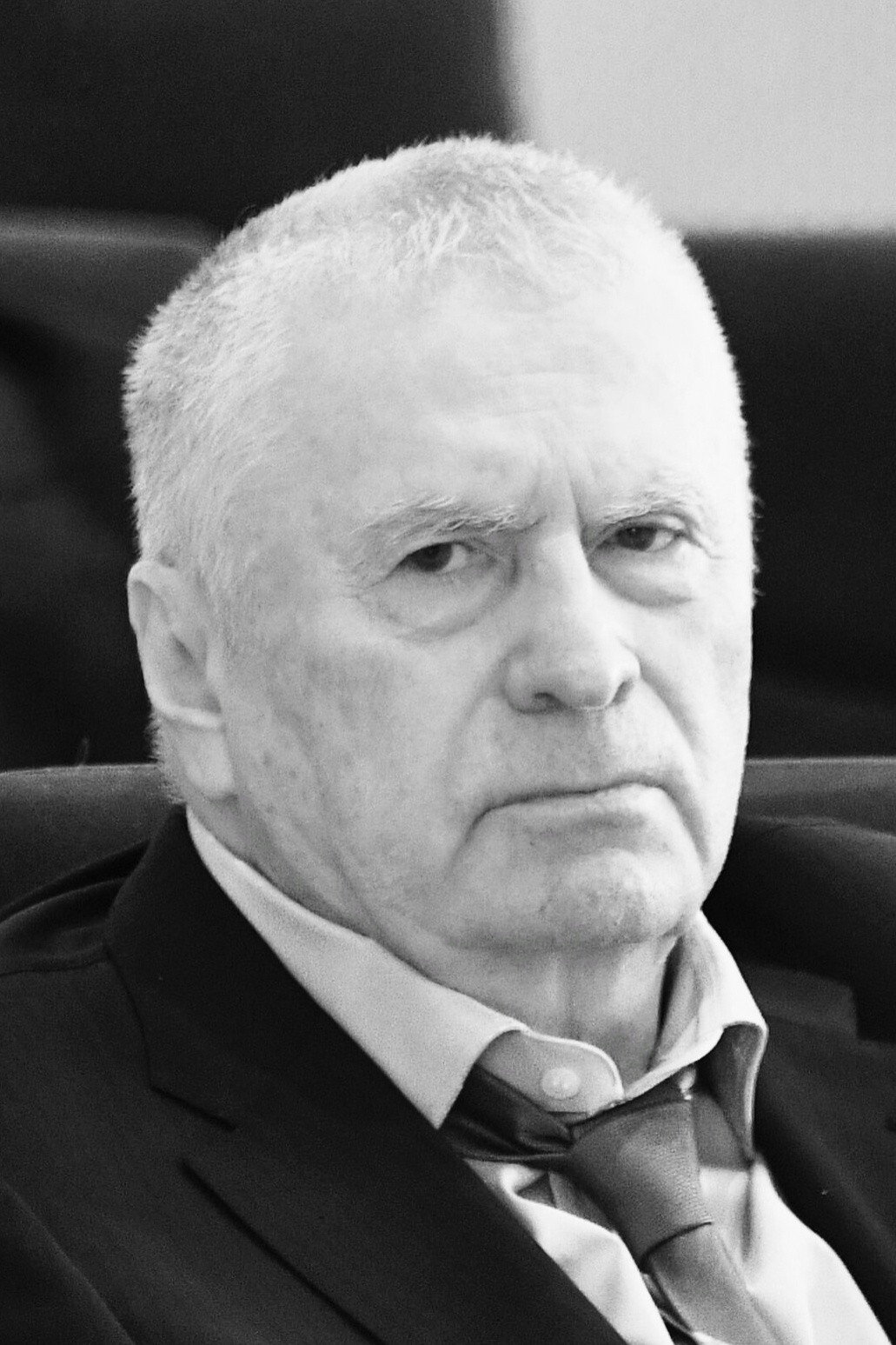 Vladimir Zhirinovsky's poster