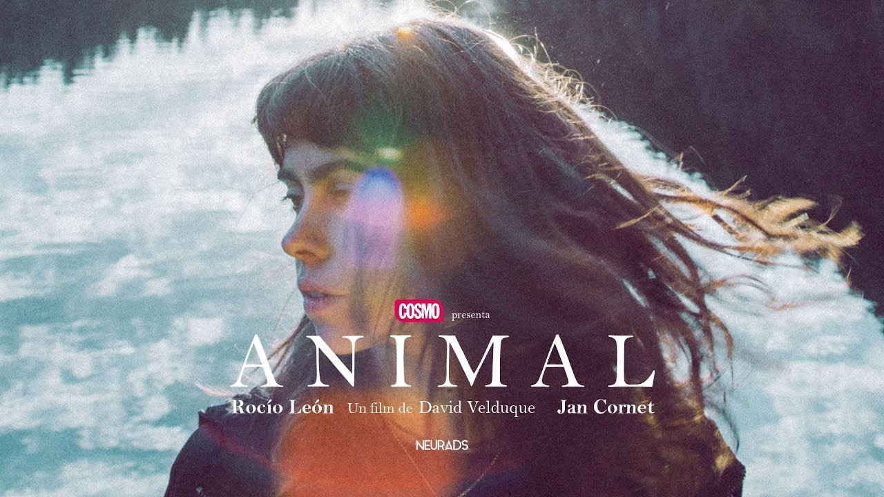 Animal's poster