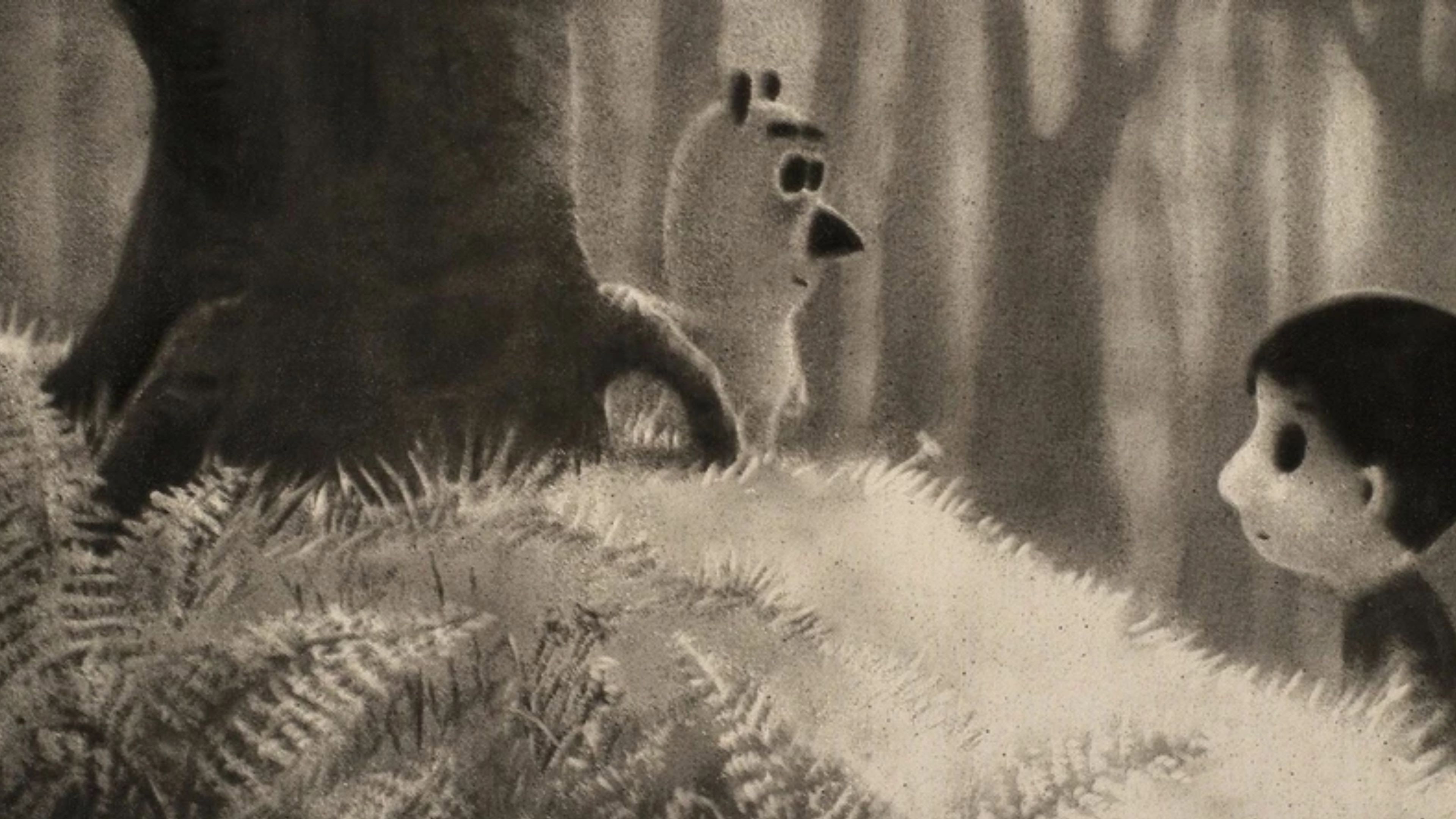 The Night Boots's poster