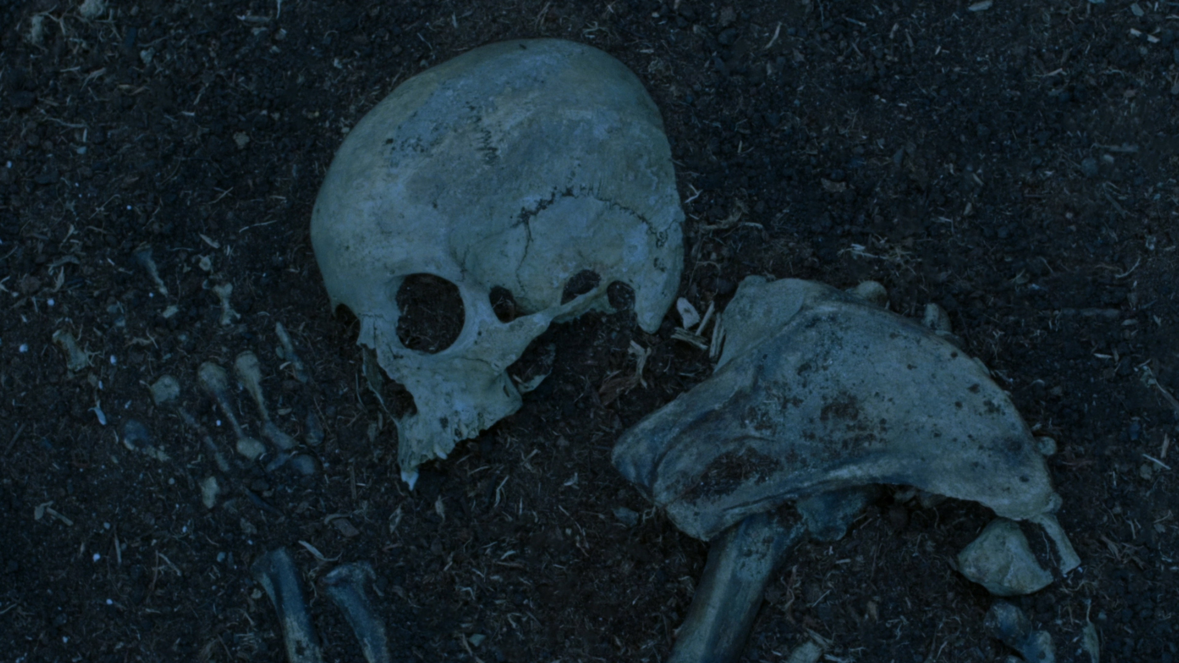 Bones's poster
