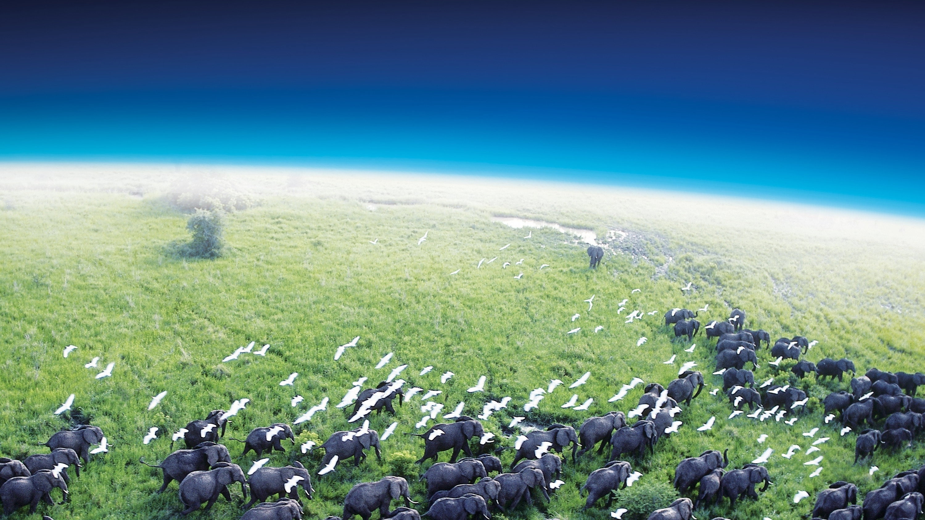 Planet Earth's poster
