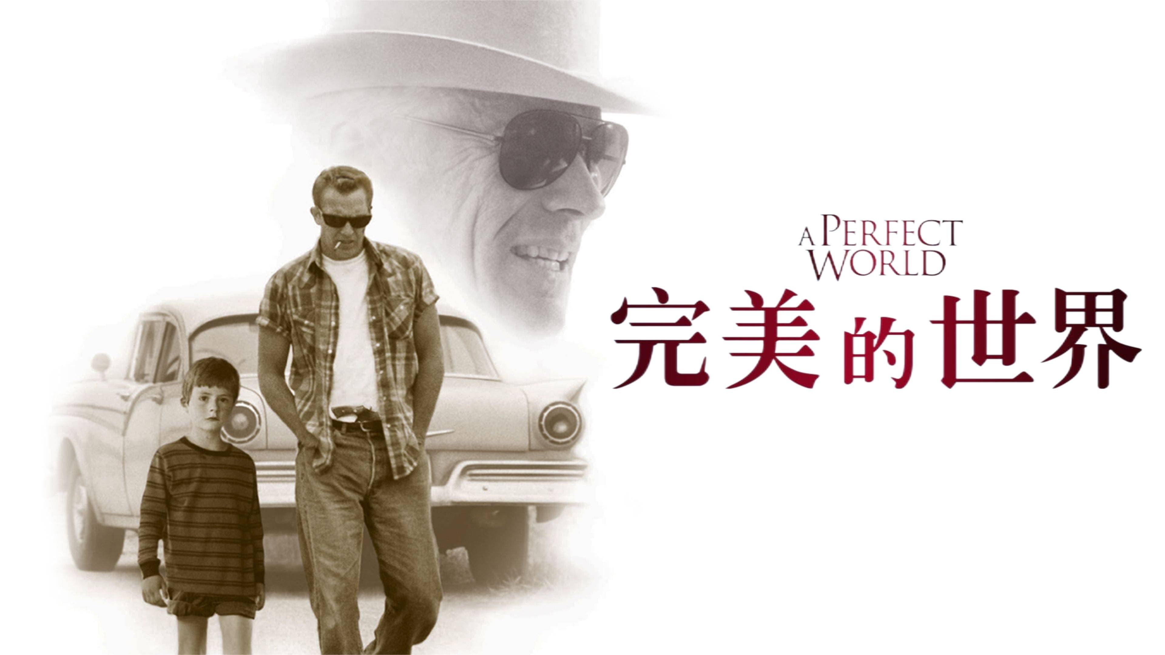 A Perfect World's poster