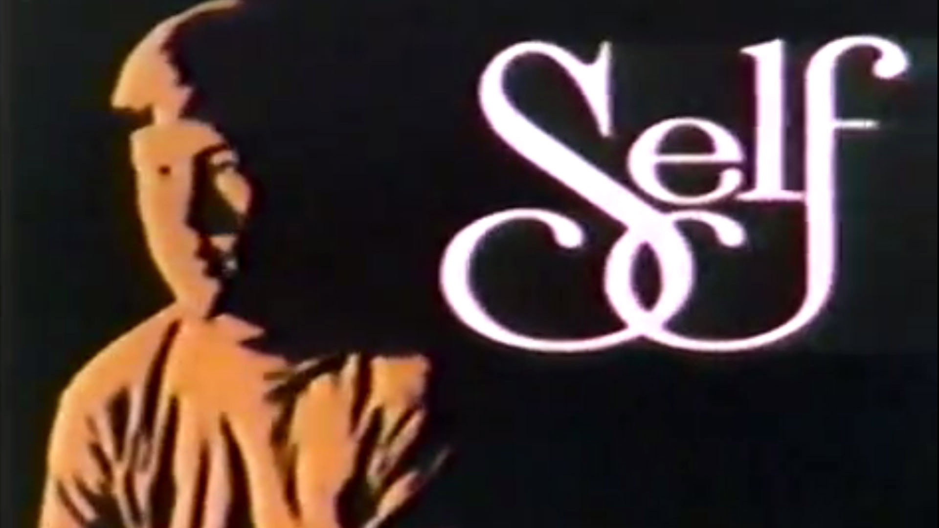 Self Incorporated's poster