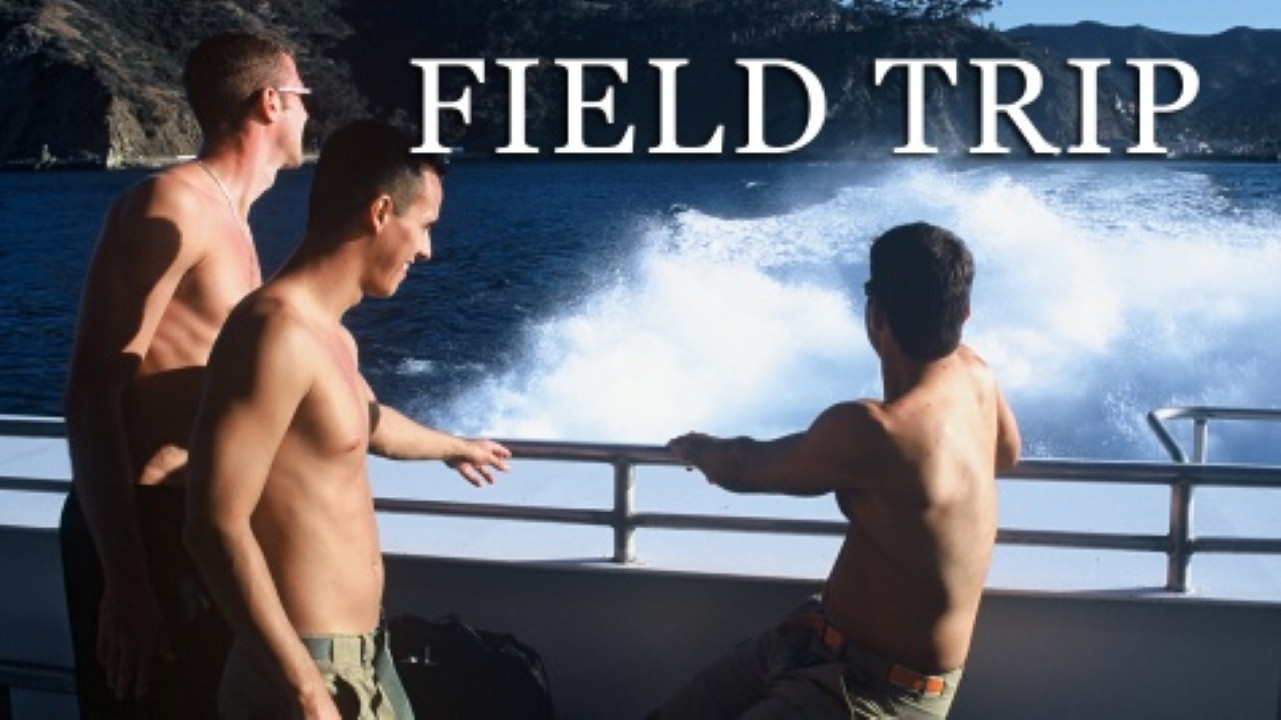 Field Trip's poster