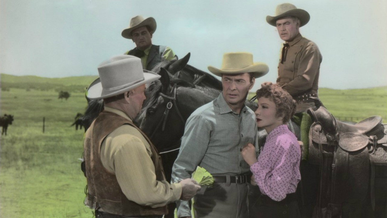 Texas Lady's poster
