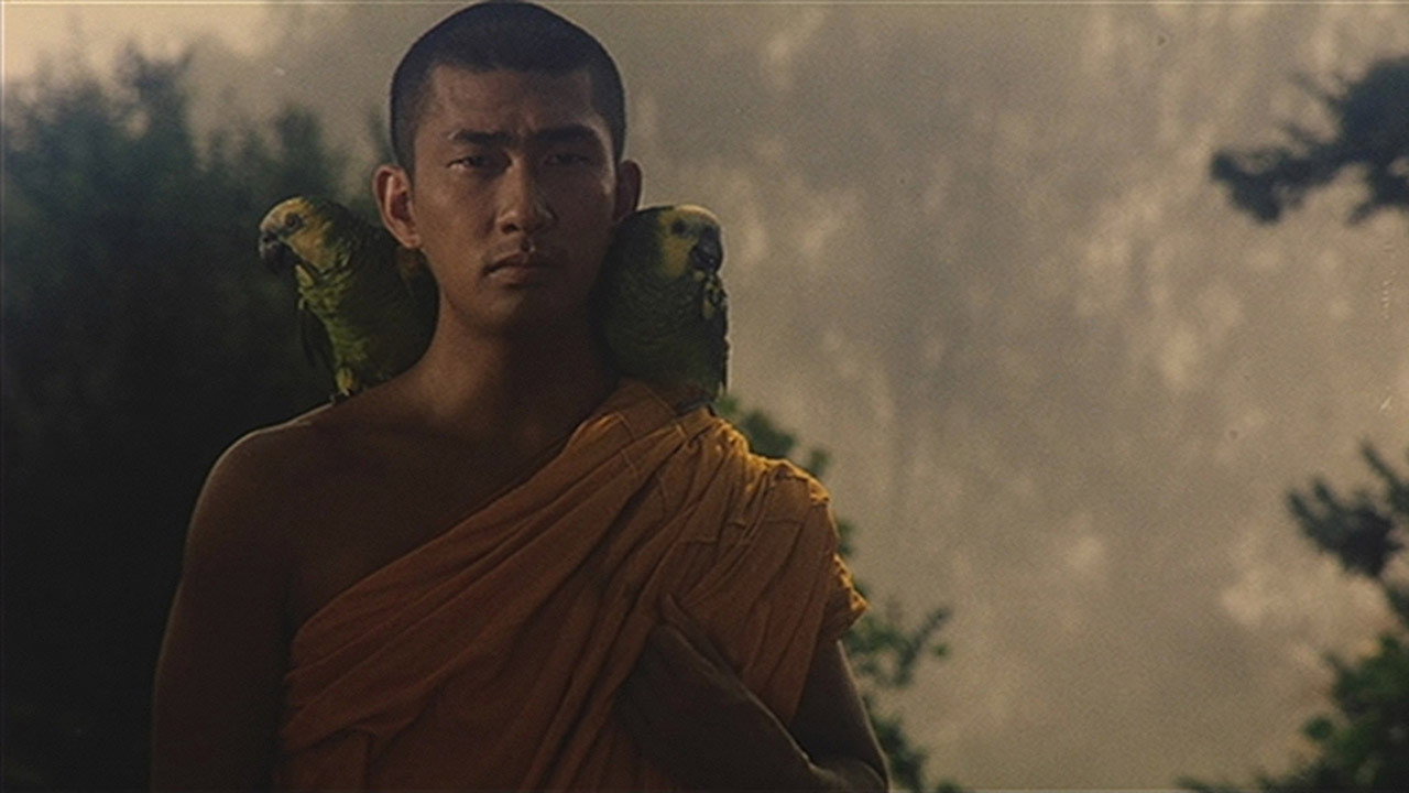 The Burmese Harp's poster