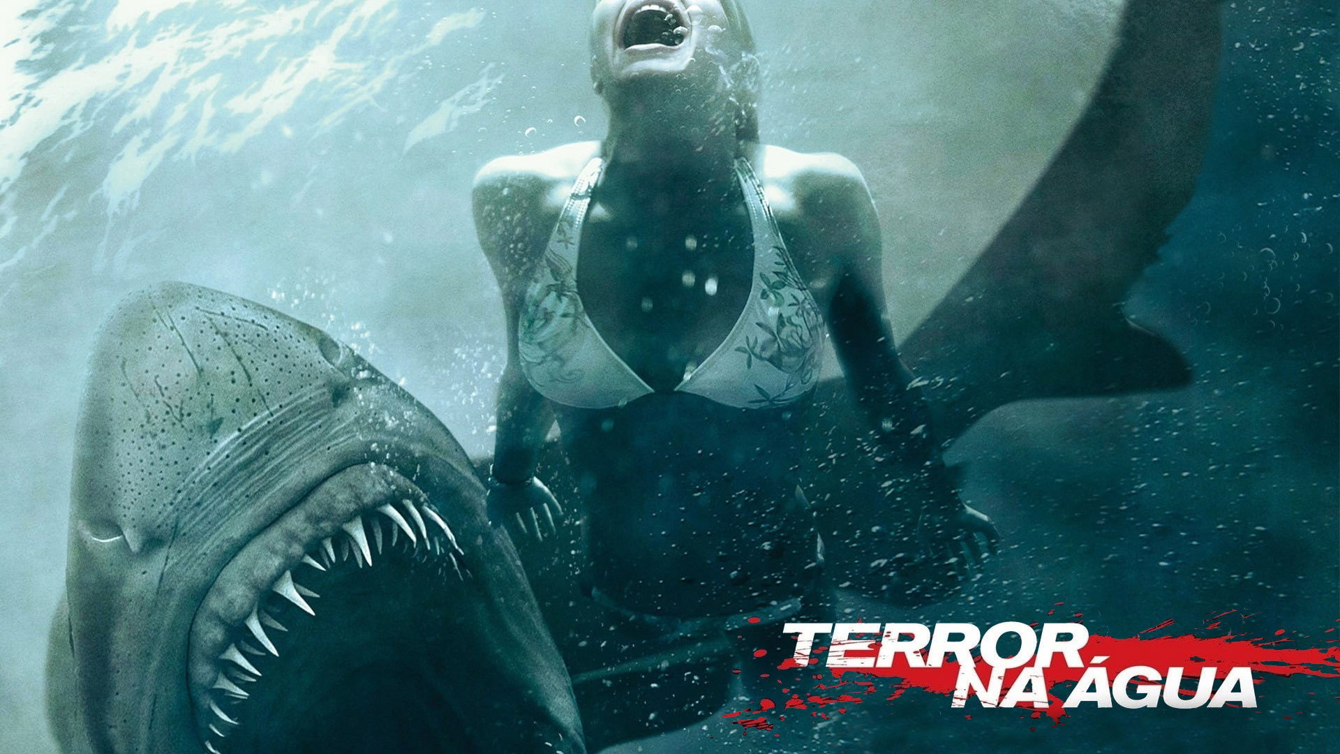 Shark Night 3D's poster
