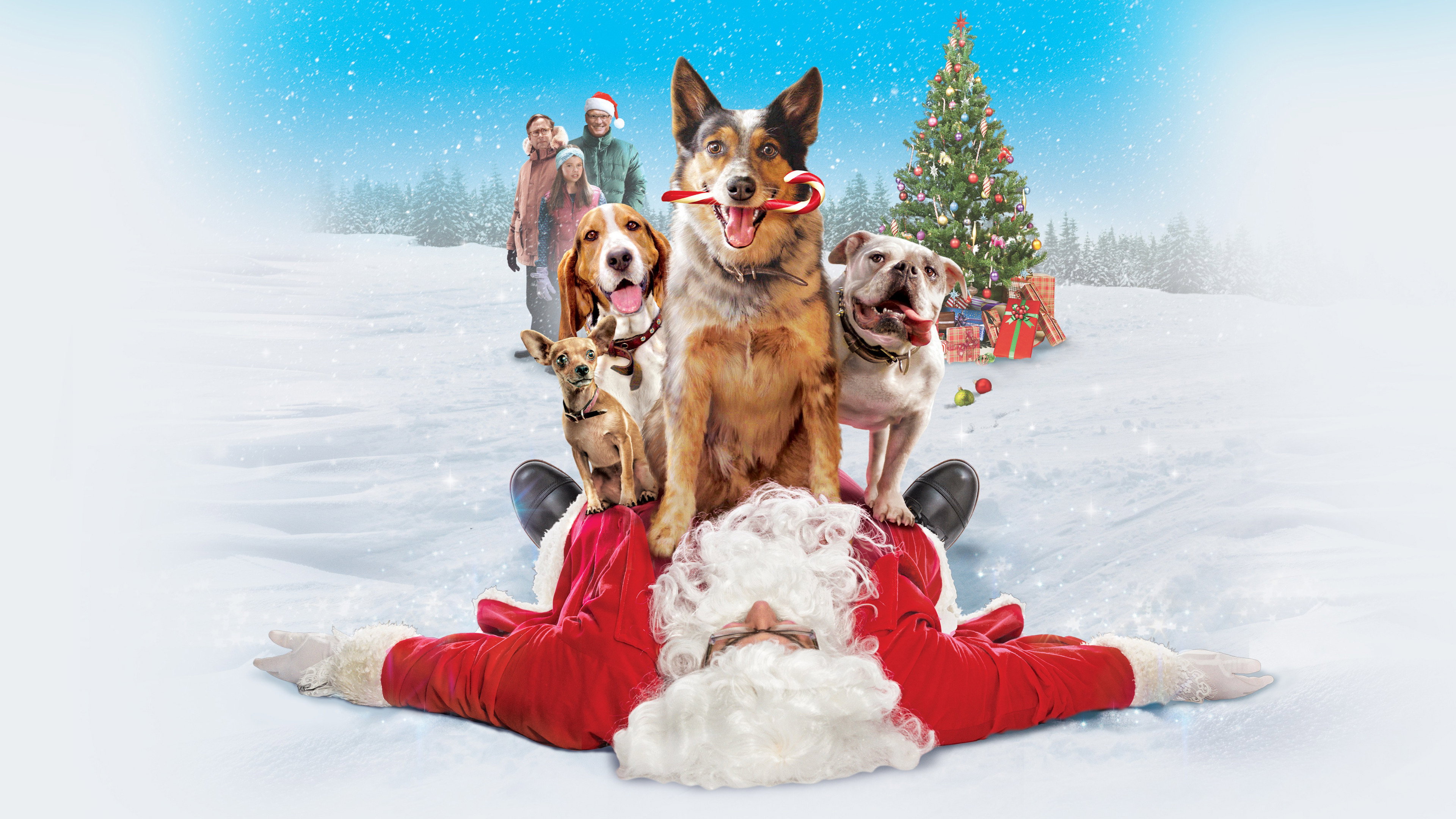 Pups Alone's poster