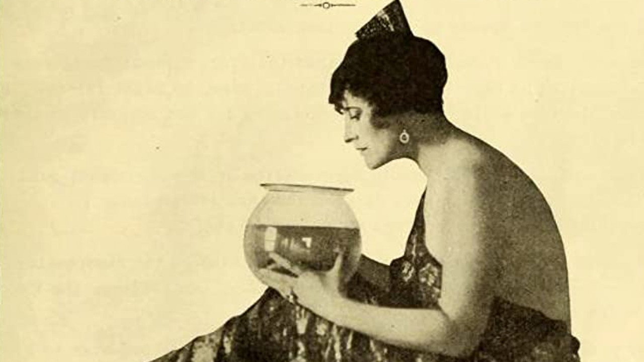 Vera, the Medium's poster