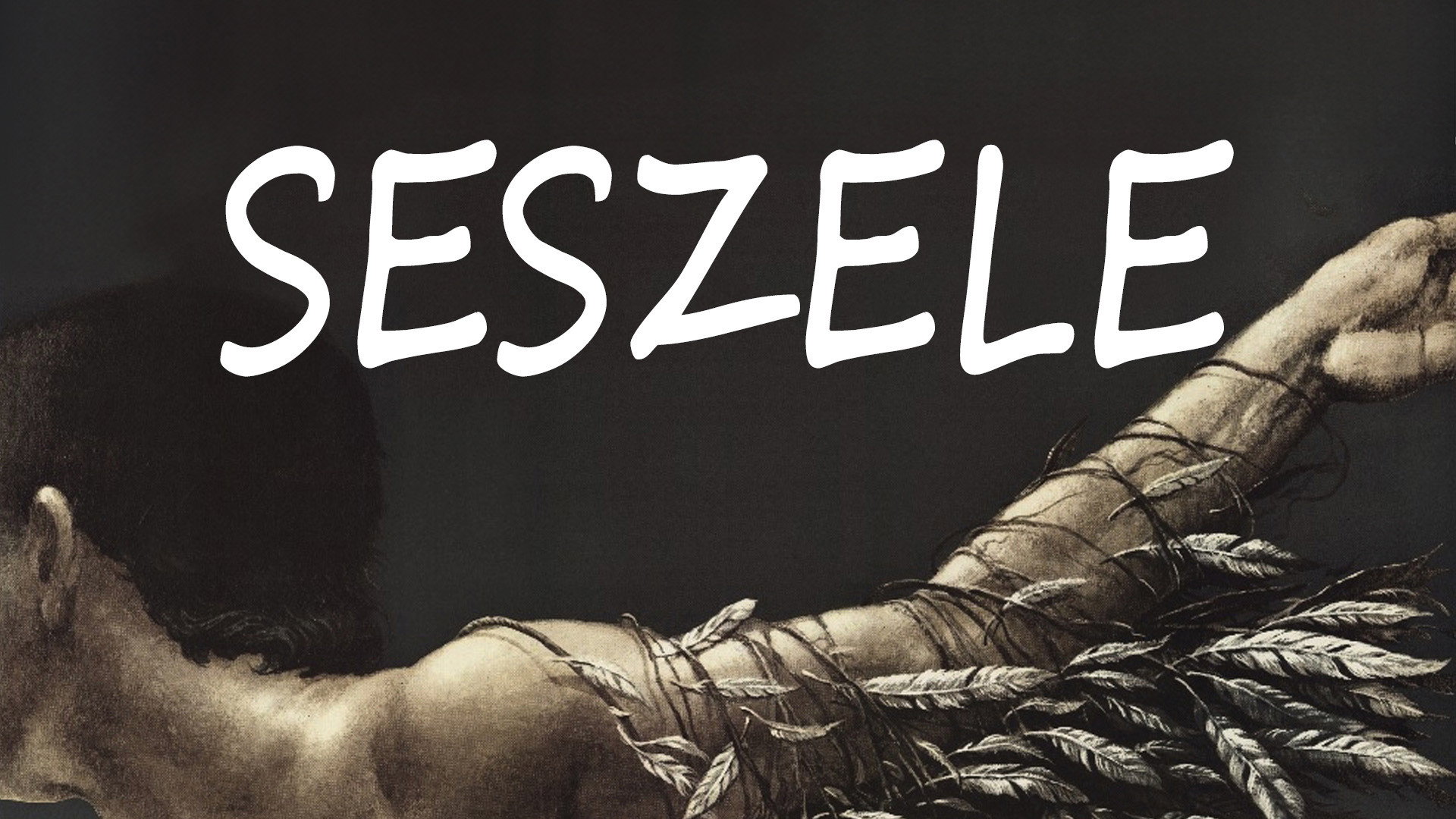 Seychelles's poster