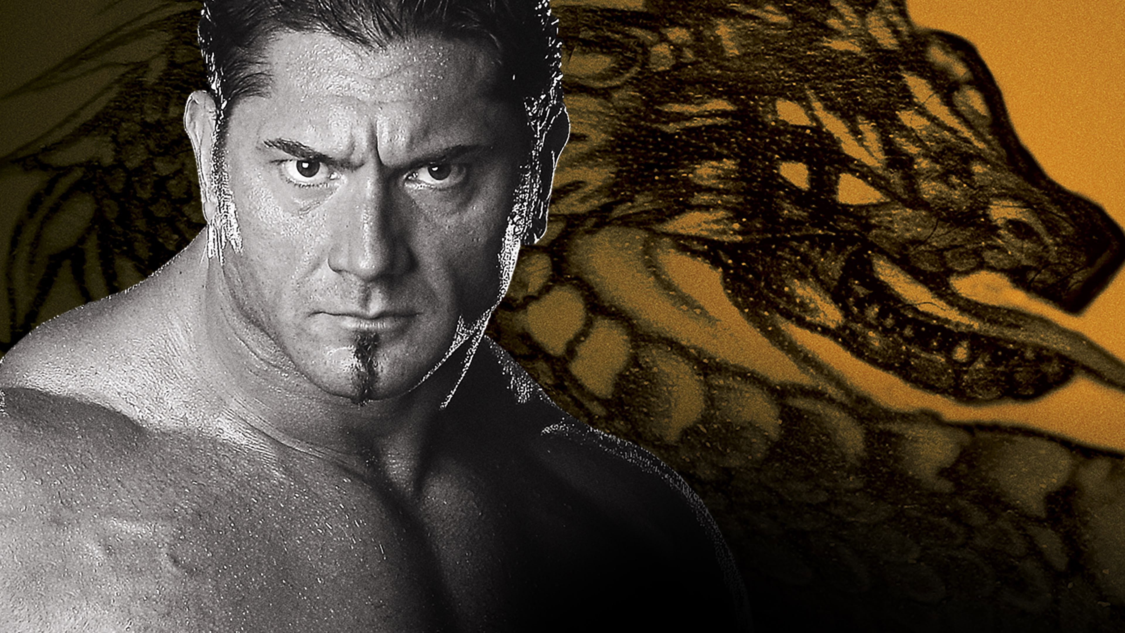WWE New Year's Revolution 2005's poster