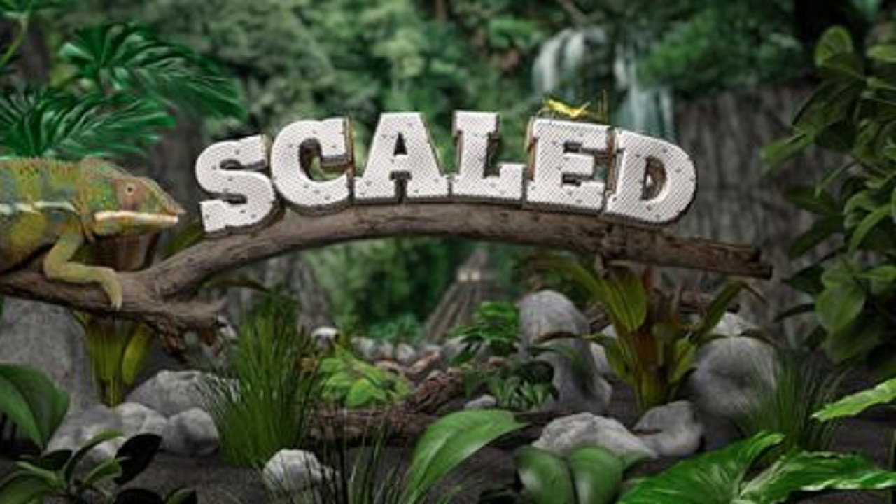 Scaled's poster