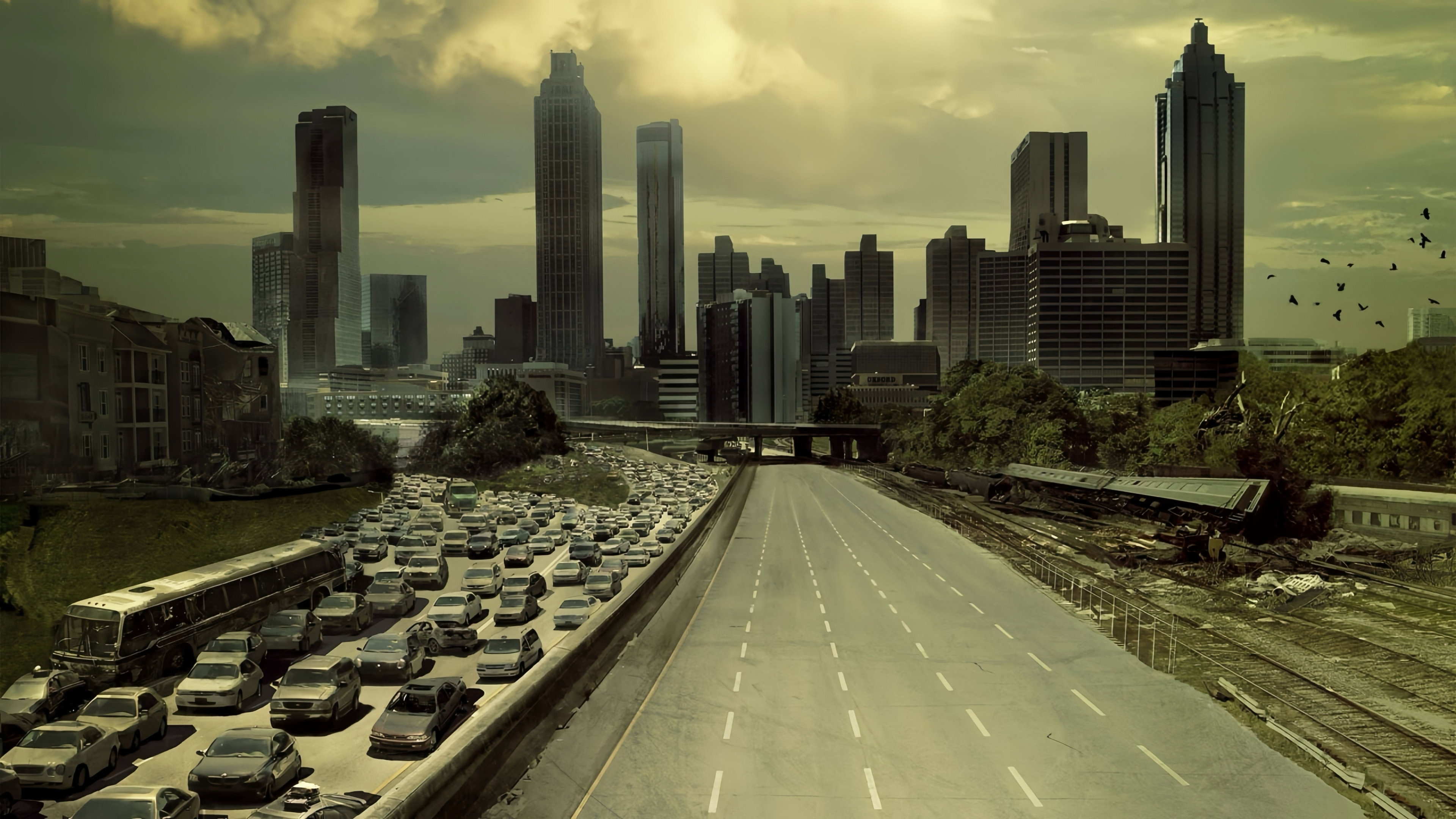 The Walking Dead's poster
