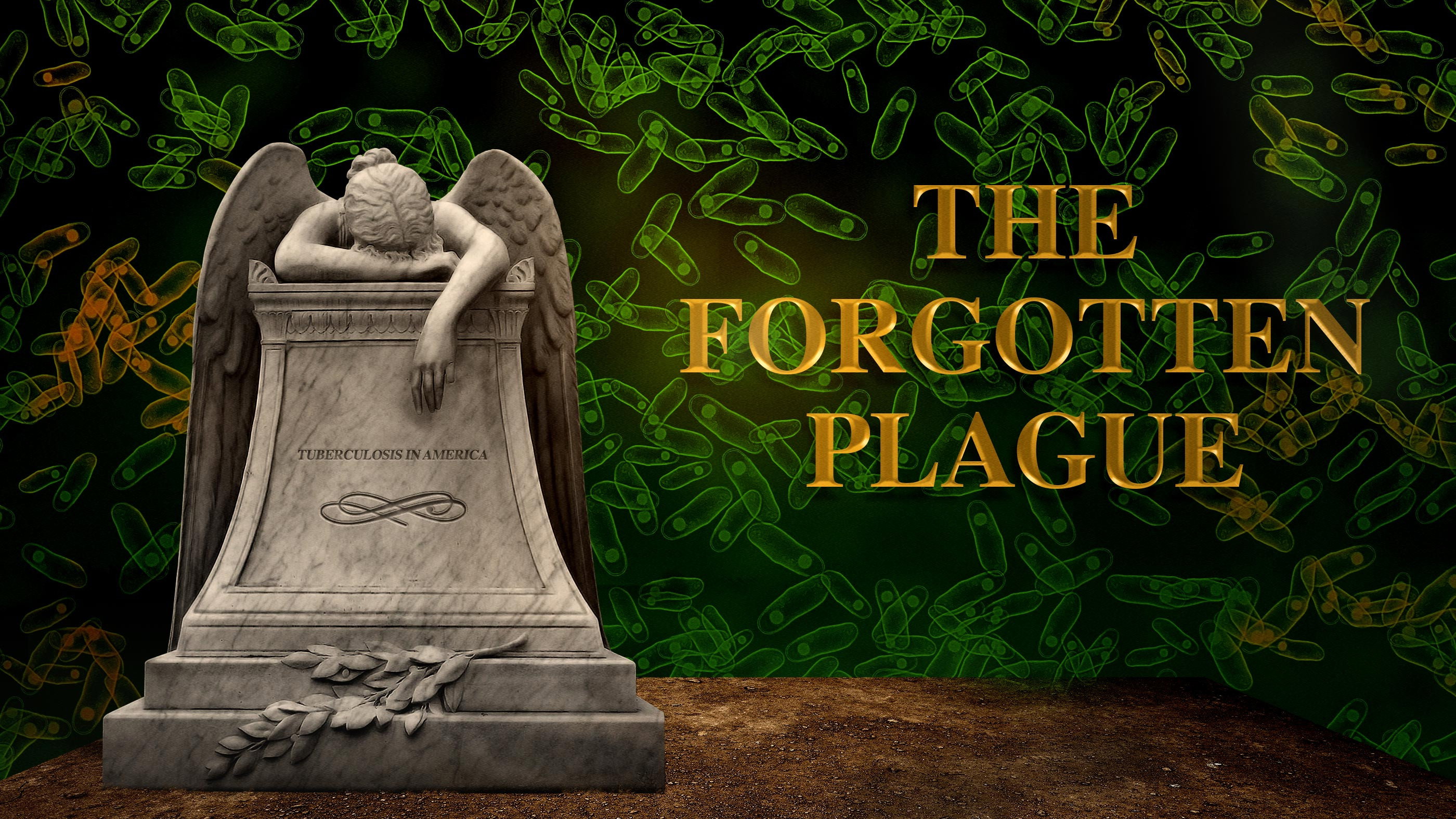 The Forgotten Plague's poster