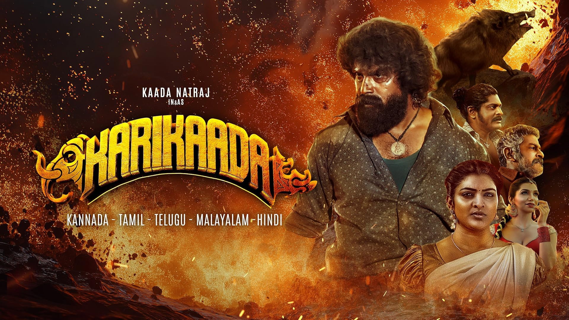 Karikaada's poster