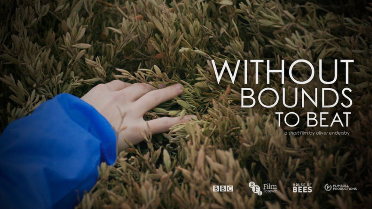 Without Bounds to Beat's poster