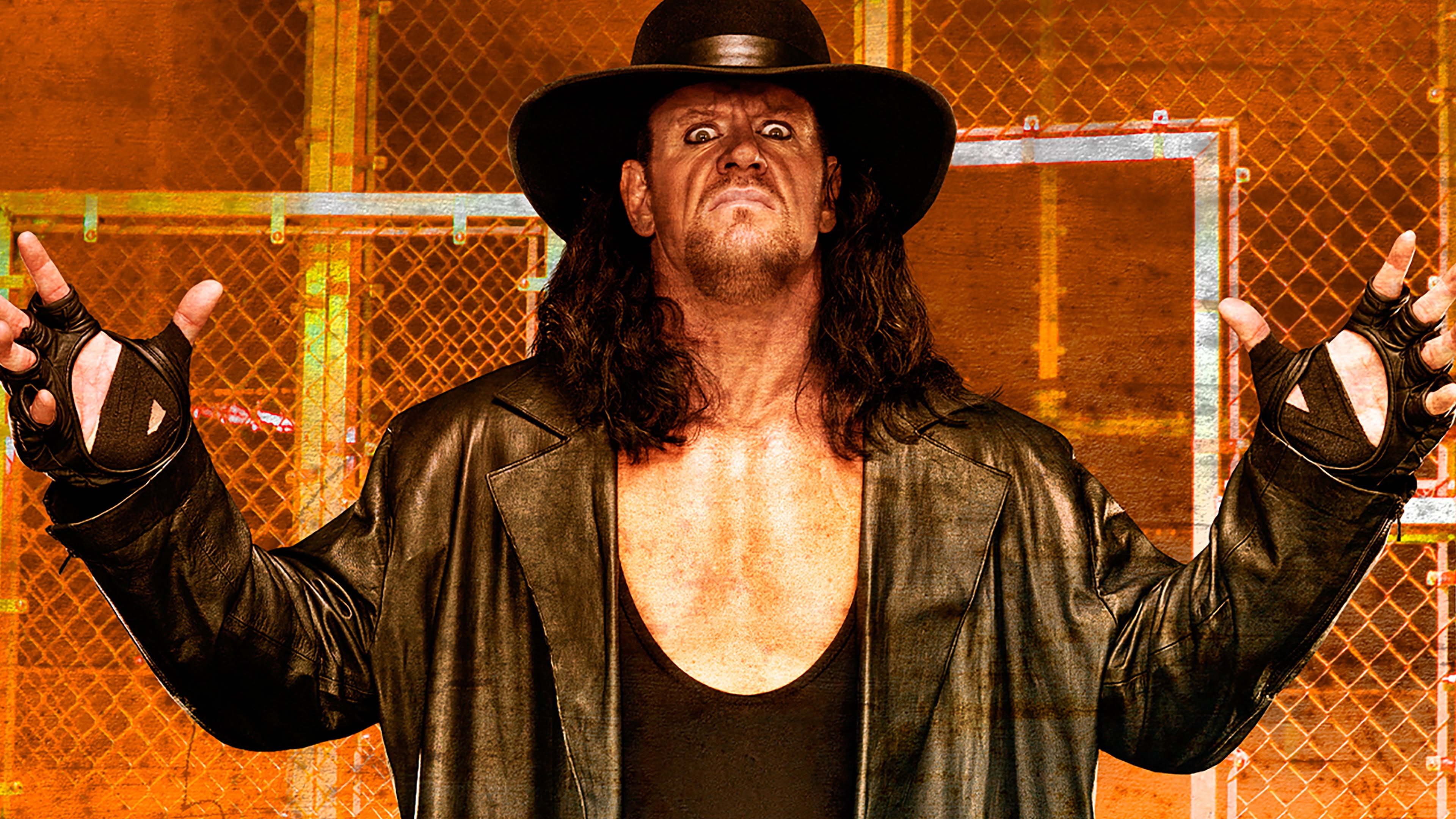 WWE Hell in a Cell 2009's poster
