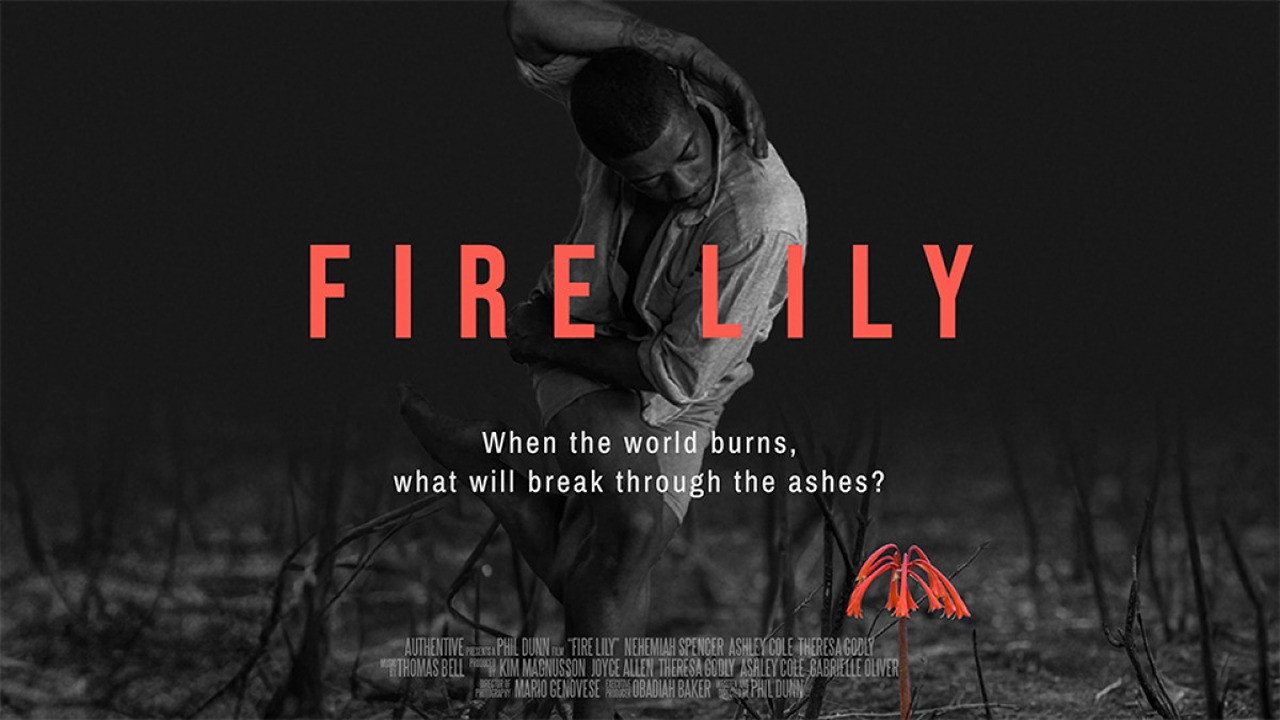 Fire Lily's poster