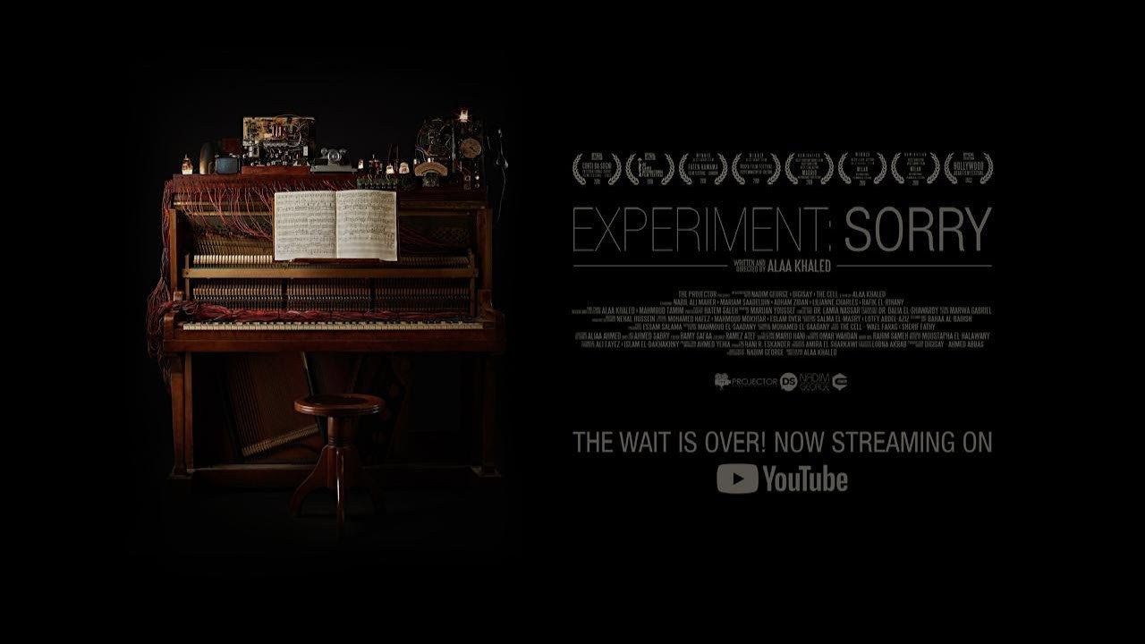 Experiment: Sorry's poster