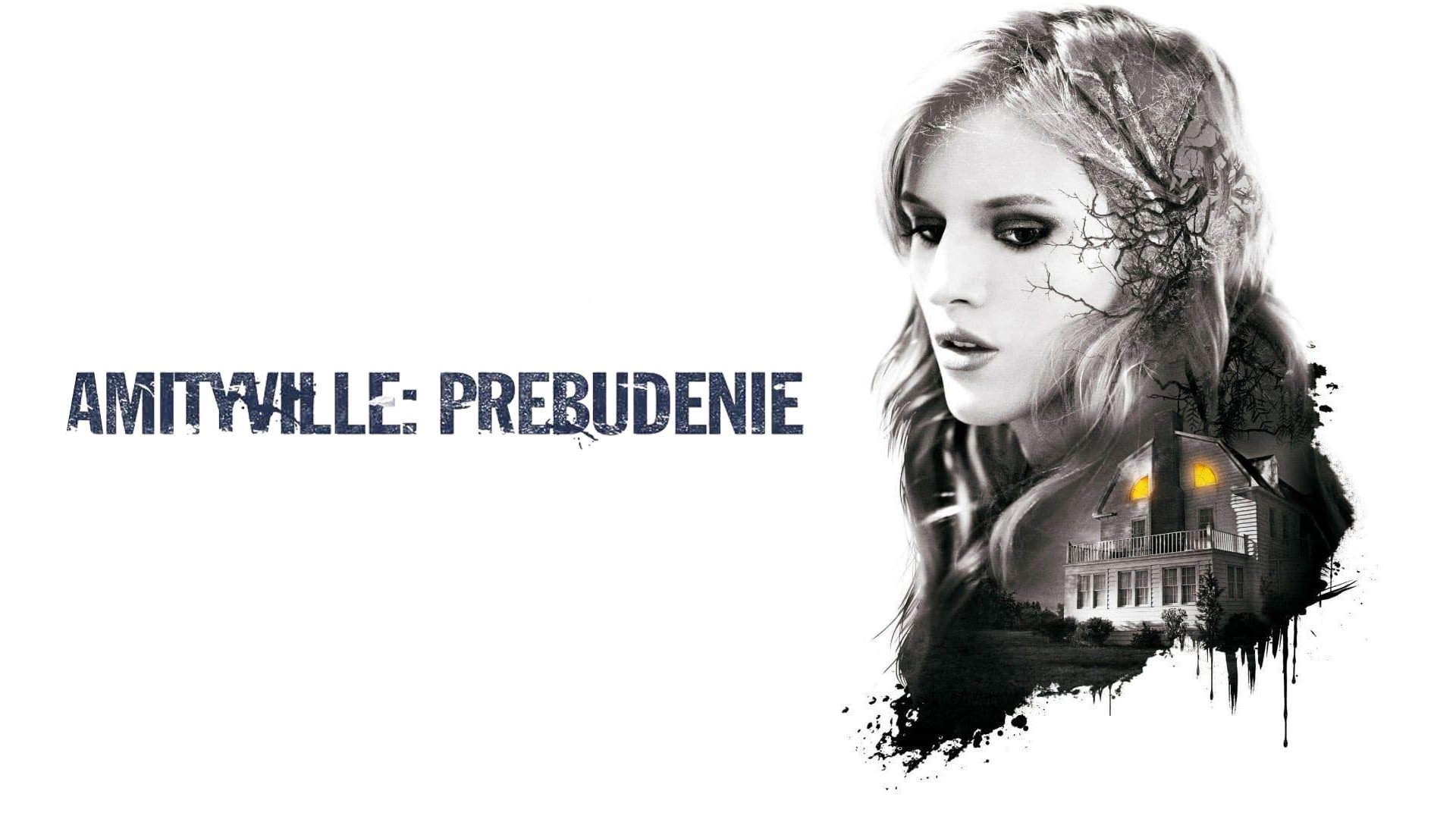 Amityville: The Awakening's poster