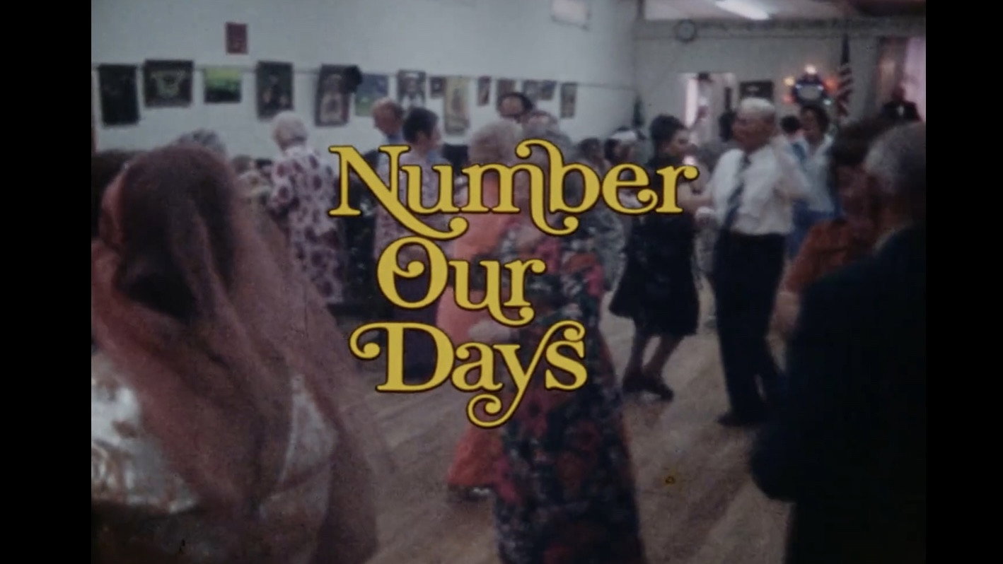 Number Our Days's poster