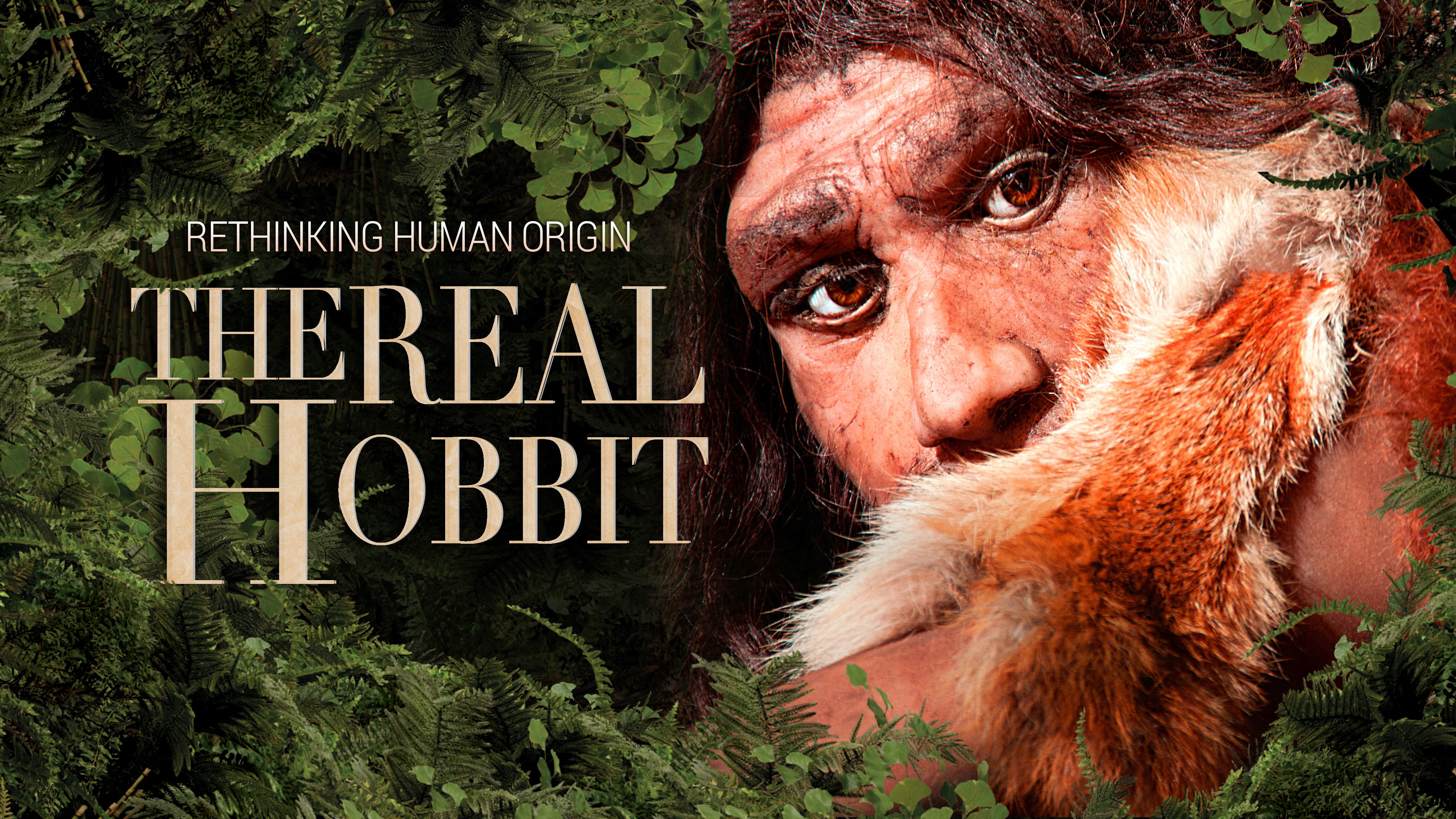 The Hobbit Enigma's poster