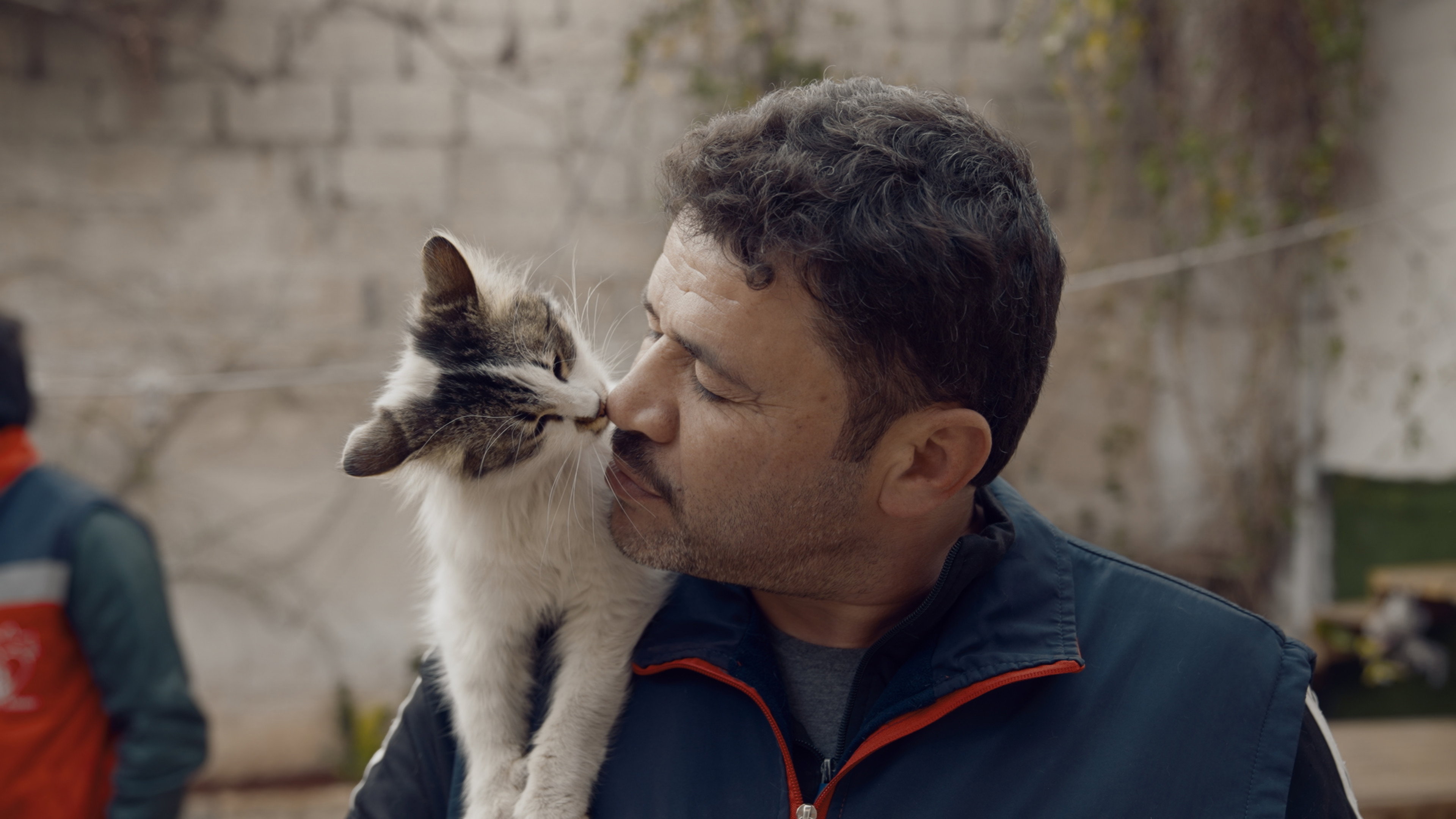 Catman's poster