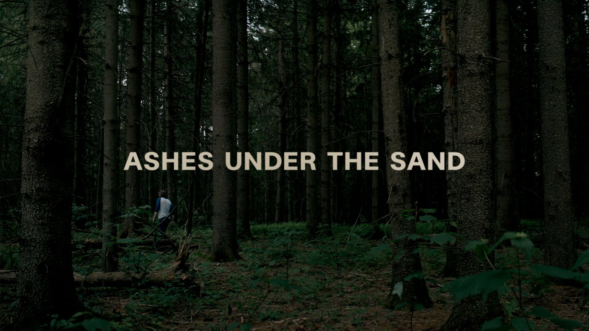 Ashes Under the Sand's poster