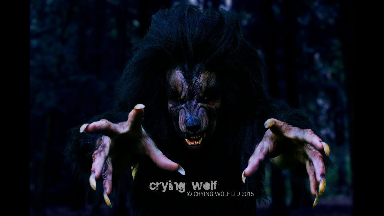 Crying Wolf's poster