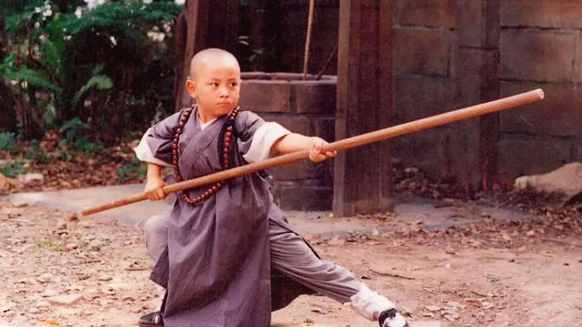 Shaolin Popey's poster