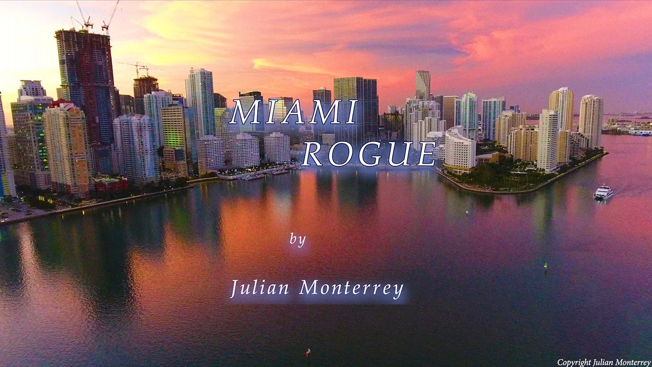 Miami Rogue's poster