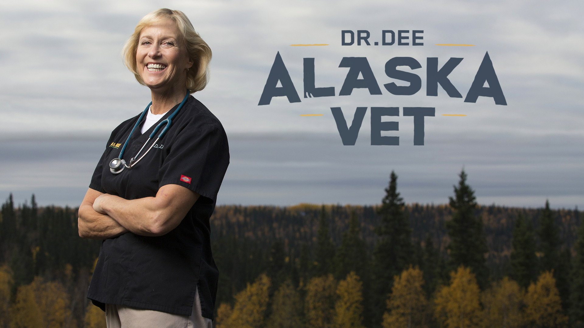 Dr. Dee: Alaska Vet's poster