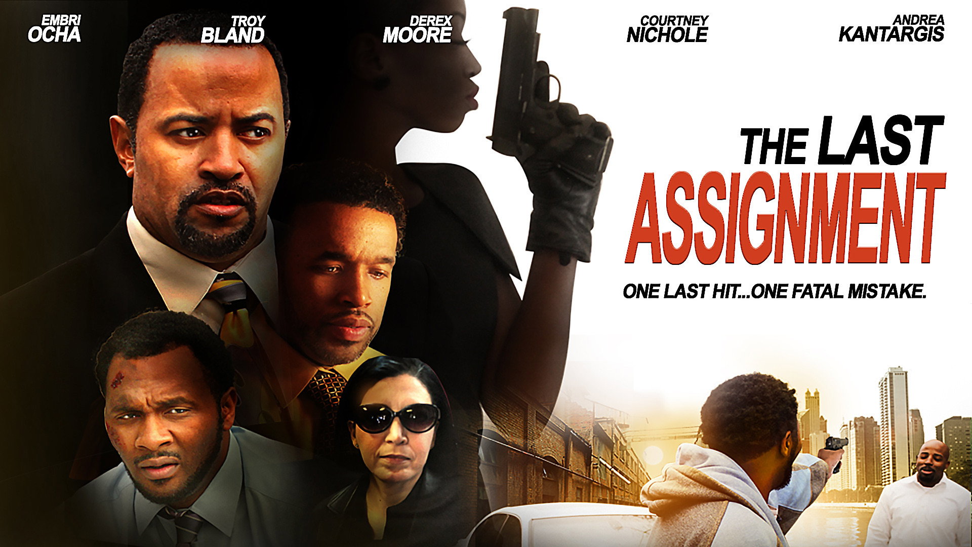 The Last Assignment's poster