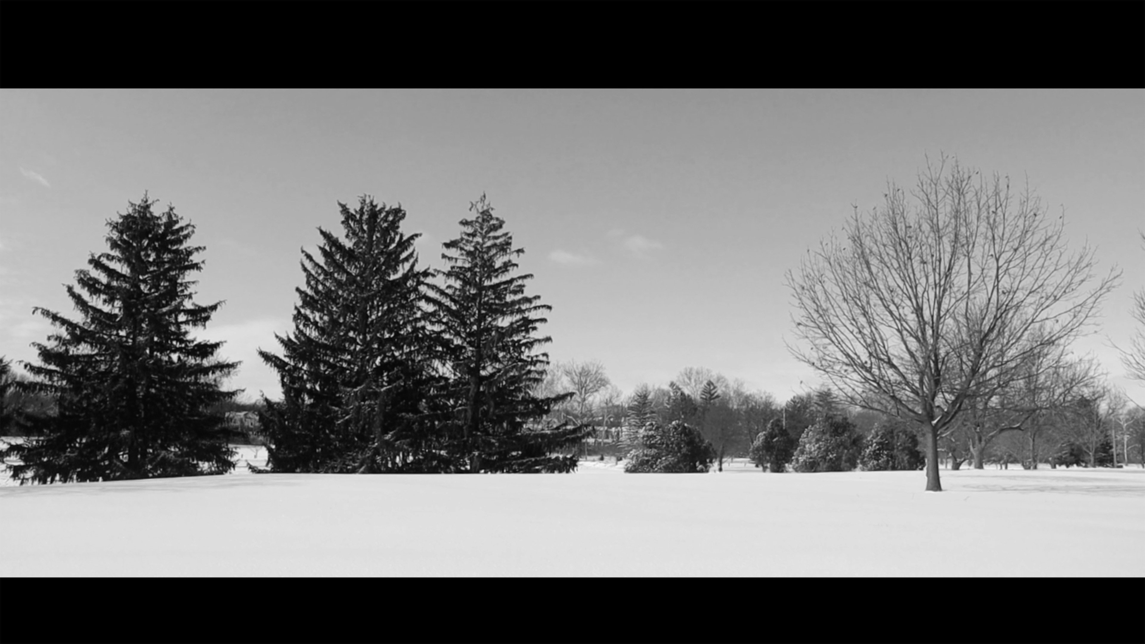 Snow day's poster