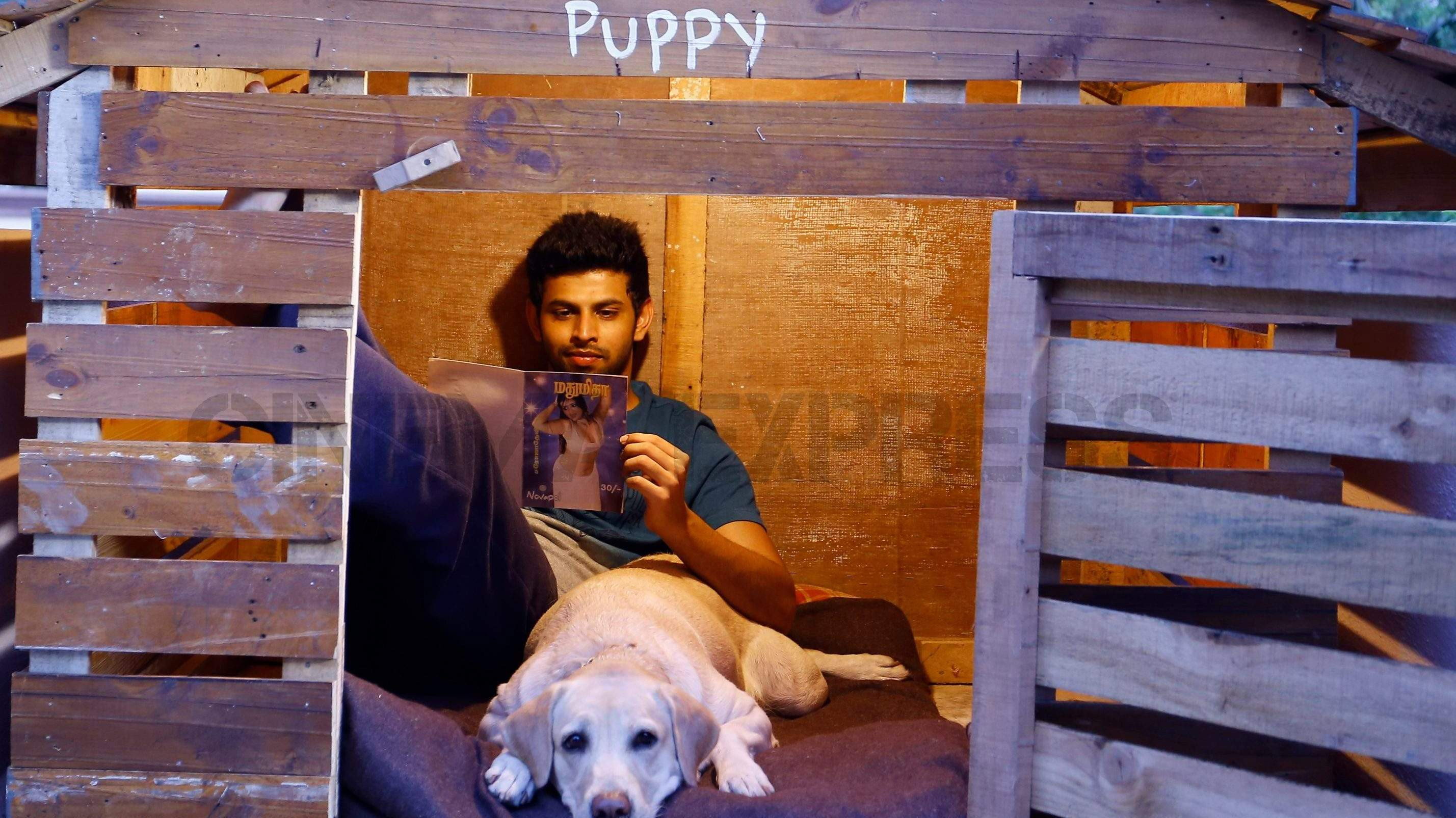Puppy's poster
