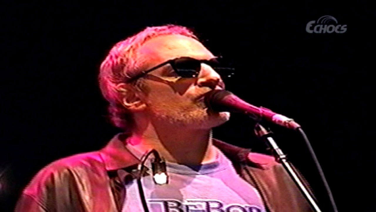 Steely Dan: Dilectus's poster