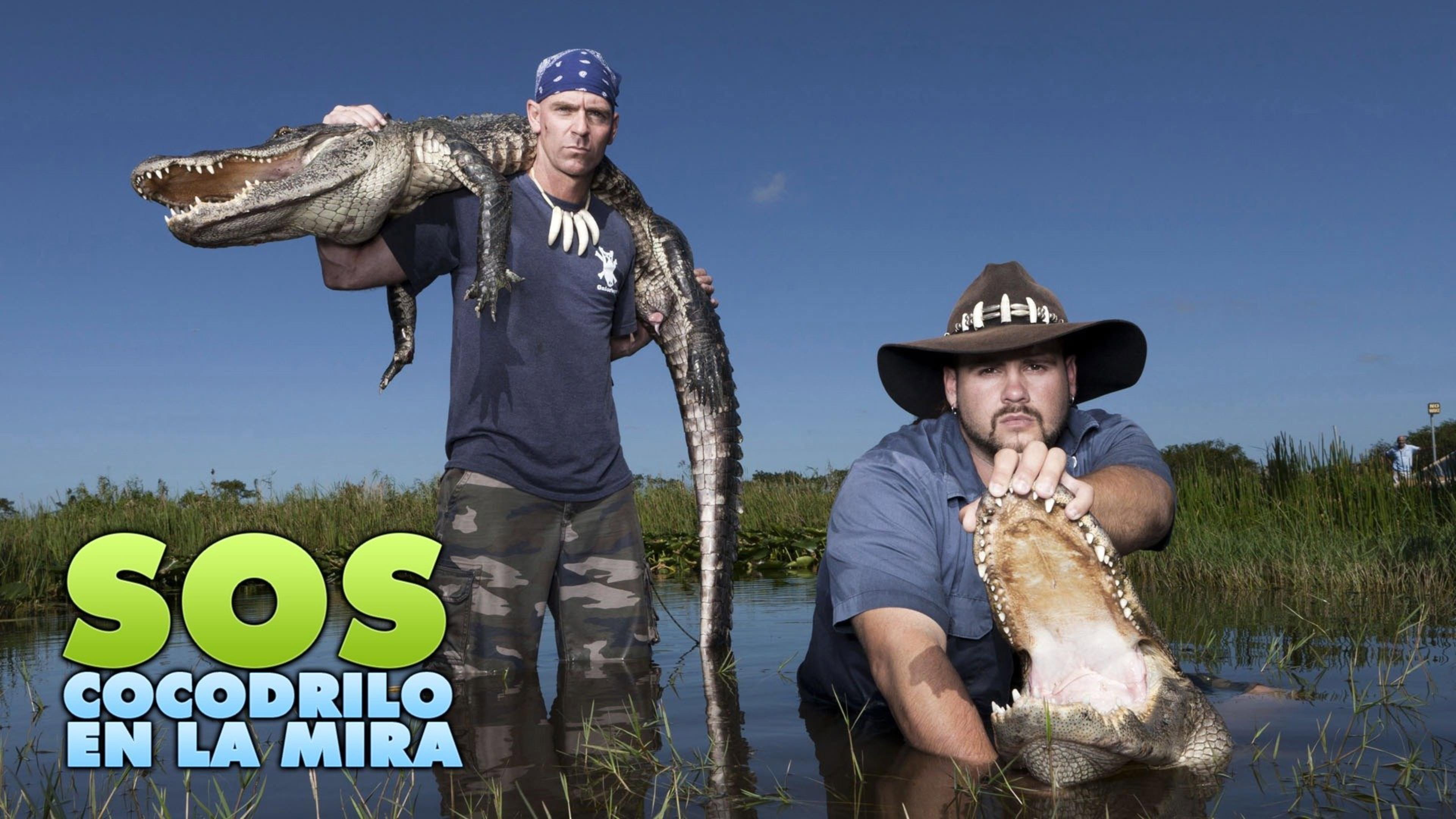 Gator Boys's poster