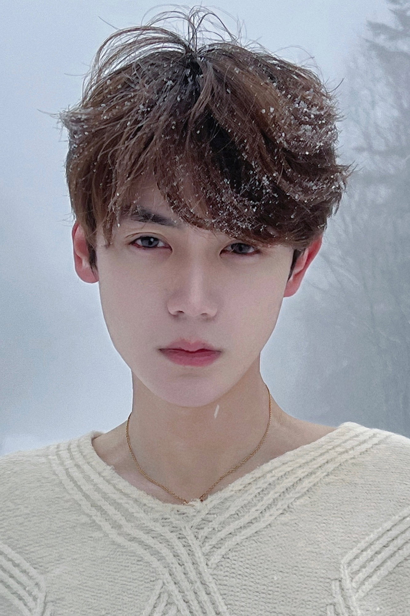 Ci Bu Rou's poster