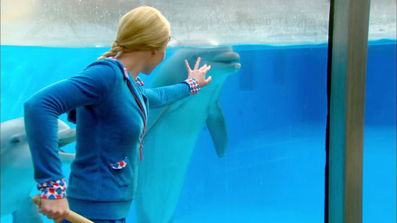 Mega Mindy: The Dolphin Robbery's poster
