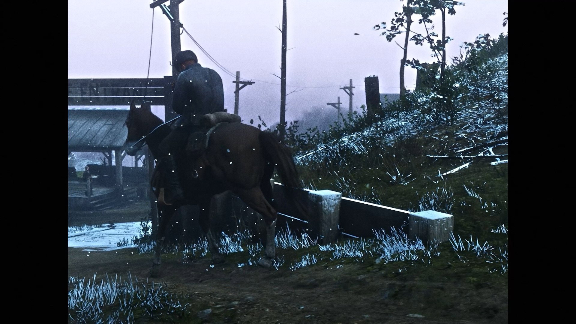 RED DEAD LIBERATION's poster