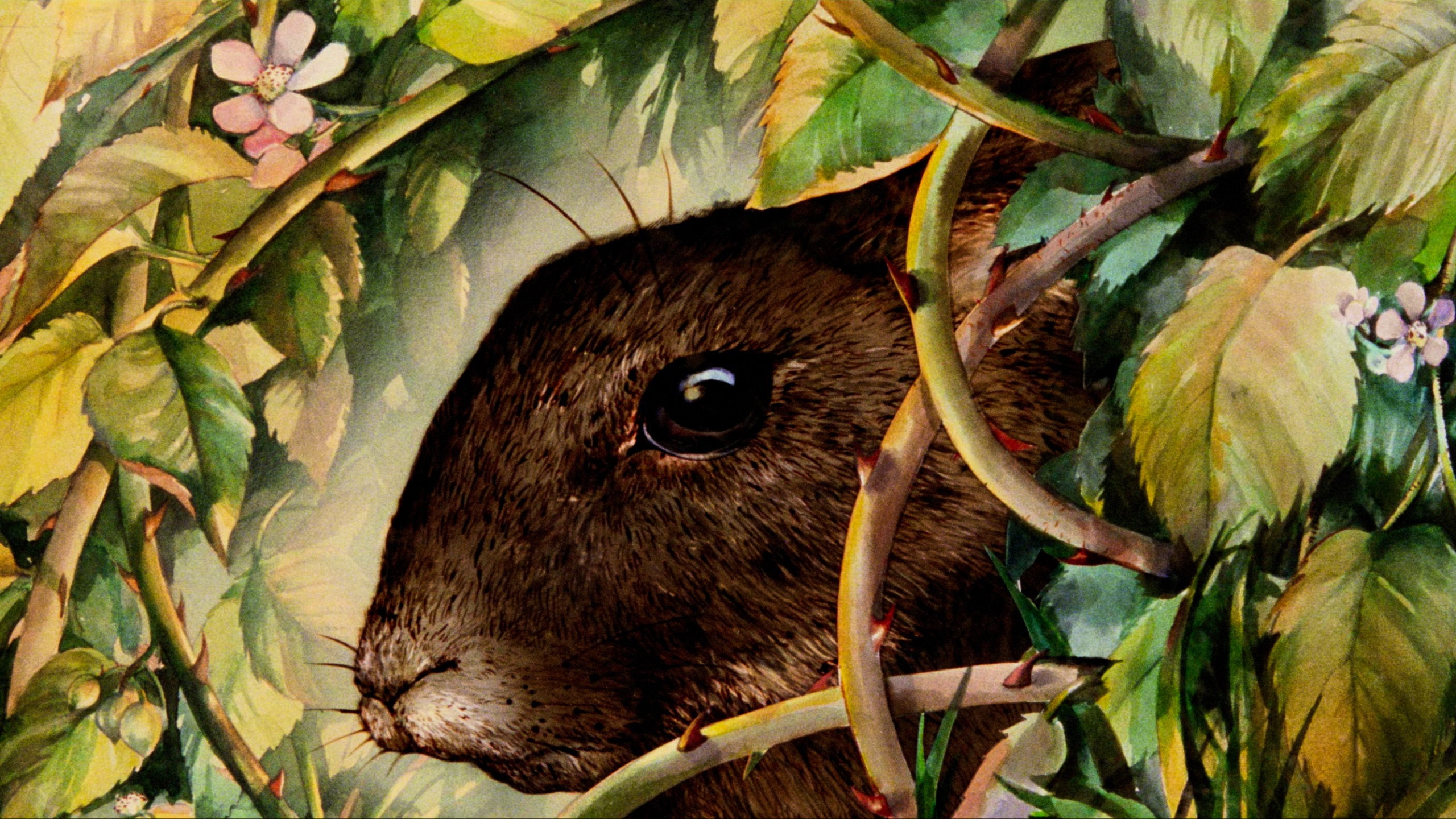 Watership Down's poster