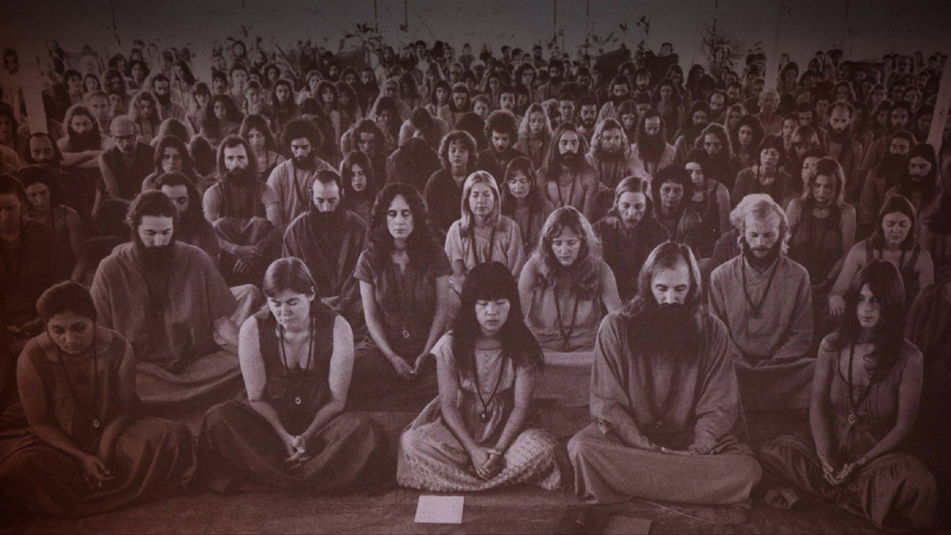 Wild Wild Country's poster